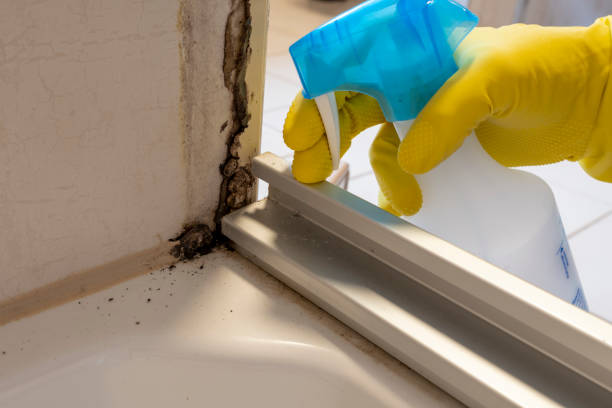 Best Residential Mold Removal  in Pataskala, OH